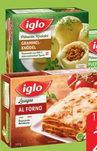 Spar Lasagne Angebot
