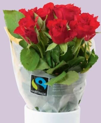 Spar Rosen Angebot