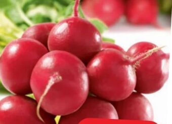 Spar Radieschen Angebot