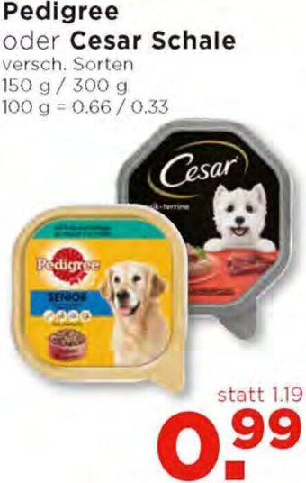 Unimarkt Pedigree oder Cesar Schale 150 g/ 300 g Angebot