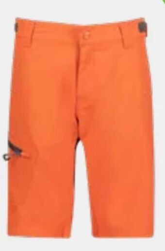 XXL Sports Blekinge Softshell Shorts Angebot