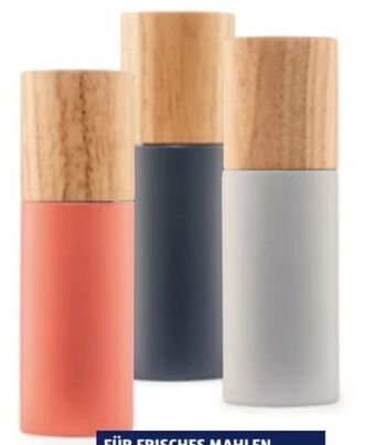 Hofer Gewürzmühle Angebot