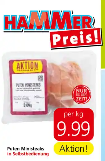 Spar Puten Ministeaks Angebot