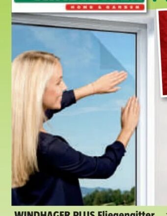 Bauhaus Fliegengitter Angebot