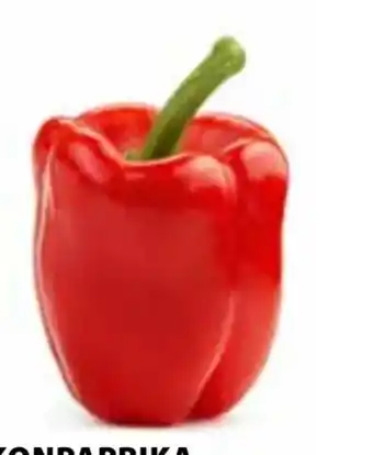 Dehner Pflanzen Balkonpaprika Angebot