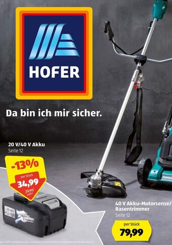 Hofer 40 V Akku-Motorsense/Rasentrimmer Angebot