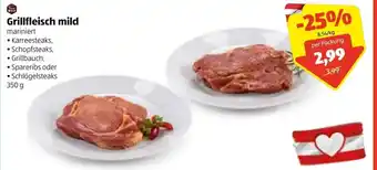 Hofer Grillfleisch Mild 350g Angebot