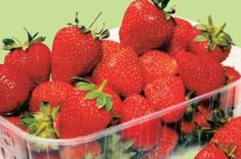 Maximarkt Erdbeeren Angebot