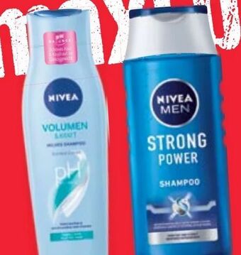 Maximarkt Shampoo Angebot