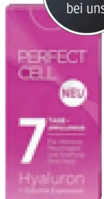 dm 7-Tage Ampullenkur mit Hyaluron Angebot