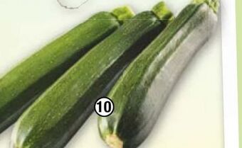Maximarkt Zucchini Angebot
