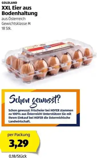 Hofer XXL Eier Aus Bodenhaltung 18 Stk. Angebot