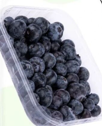 ETSAN Heidelbeeren Angebot