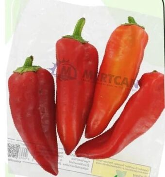 ETSAN Rote Kapya Paprika Angebot