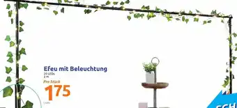 Action Efeu mit Beleuchtung 2 m Angebot