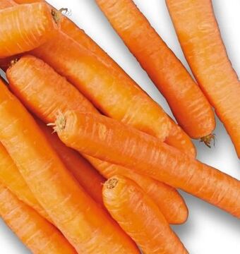 Lidl Karotten Angebot