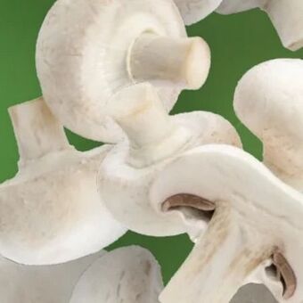 Lidl Champignons Angebot