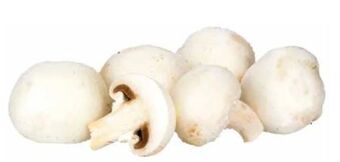 Transgourmet Champignons Angebot