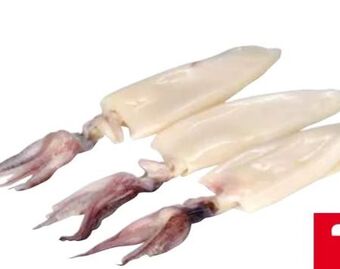 Transgourmet Tintenfisch Geputzt Angebot