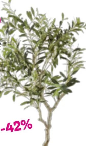 Mömax Kunstpflanze Olivenbaum Angebot