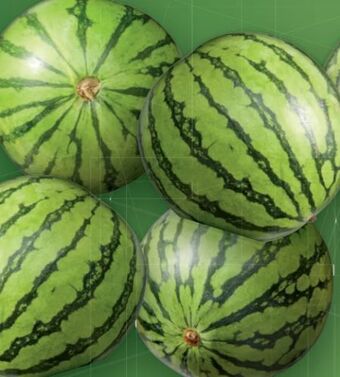 Lidl Wassermelone Angebot