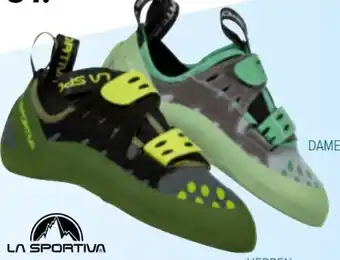 Hervis Damen-Kletterschuh Geckogym Vegan Angebot