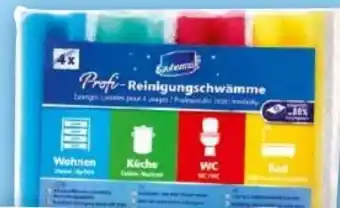 Norma Profi-Reinigungsschwämme Angebot
