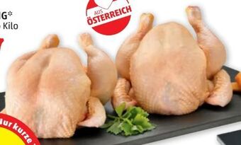 PENNY Hendl Bratfertig Angebot
