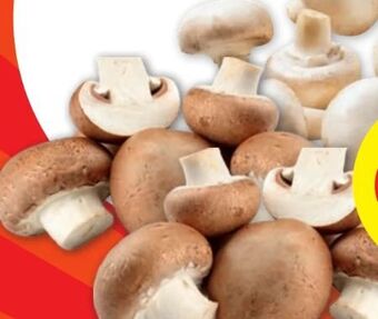 PENNY Champignons Angebot