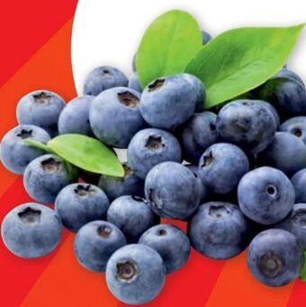 PENNY Heidelbeeren Angebot