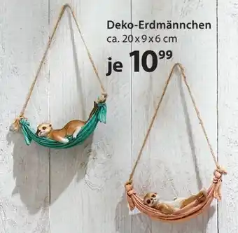 NKD Deko-Erdmännchen Angebot