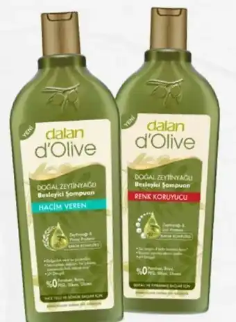 Duschgel Olivenöl