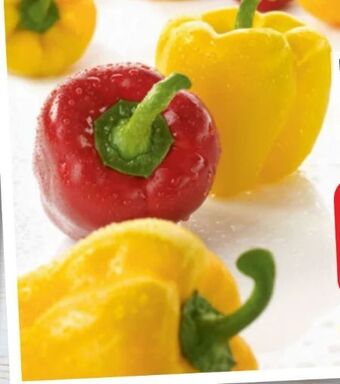 Spar Paprika Angebot