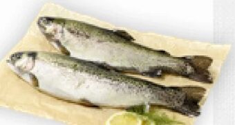 Billa Forelle Angebot