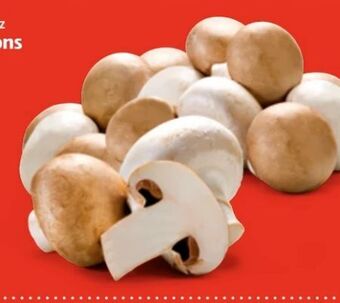 Hofer Champignons Angebot