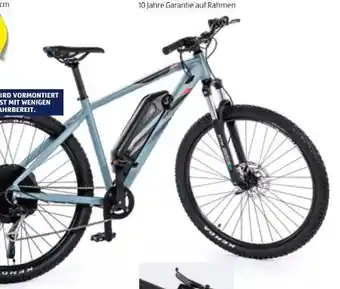 Hofer E-Bike Graveler E-MTB Angebot
