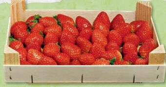 Metro Erdbeeren Angebot