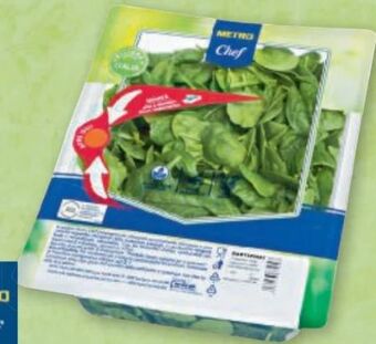 Metro Babyspinat Angebot