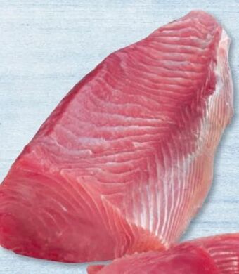 Metro Thunfisch Loins Angebot