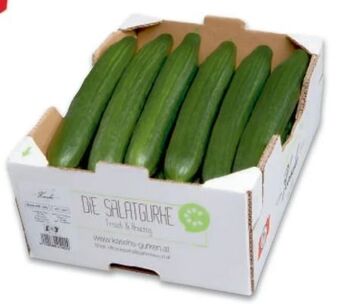 Metro Gurken Angebot