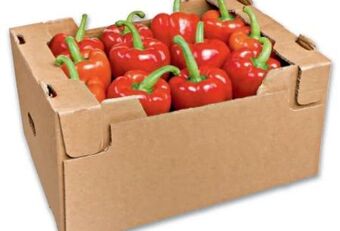 Metro Paprika Angebot