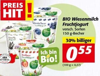 Nah&Frisch BIO Wiesenmilch Fruchtjogurt 150 g Angebot