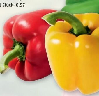 PENNY Paprika Tricolore Angebot