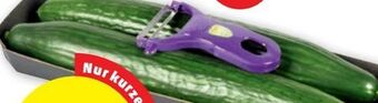 PENNY Gurken Angebot