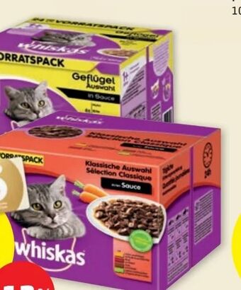 PENNY Katzenfutter Frischebeutel Angebot