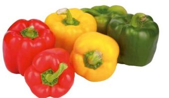 Transgourmet Paprika Mix Angebot