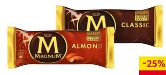 Transgourmet Magnum Angebot
