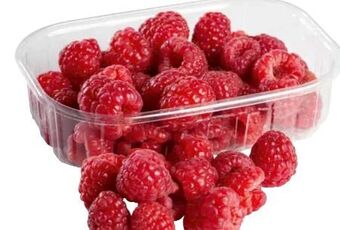 Transgourmet Himbeeren Angebot