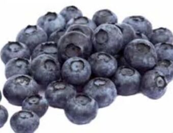 Transgourmet Heidelbeeren Angebot
