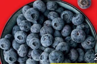 Lidl Heidelbeeren Angebot